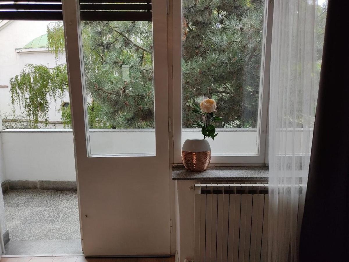 Apartment Vera 萨格勒布 外观 照片